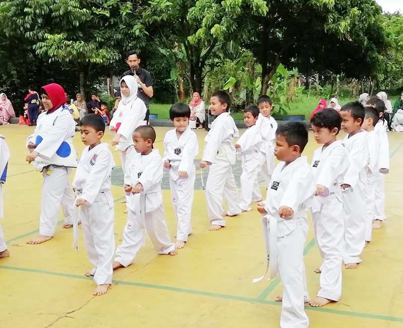 taekwondo