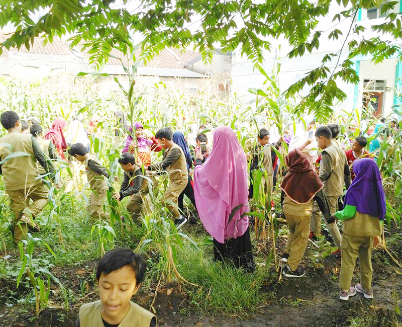 farming