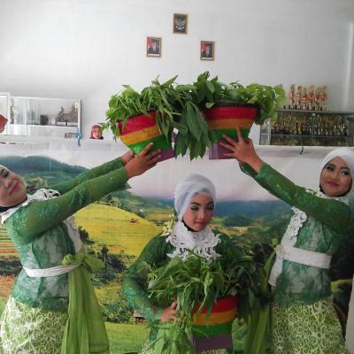 Seni Tari