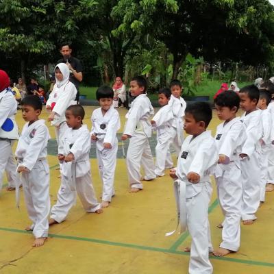 Taekwondo