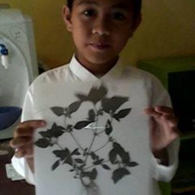 Herbarium Kelas 2b 16