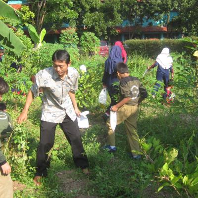 Farming Sdit Bbs 10