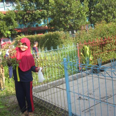 Farming Sdit Bbs 11