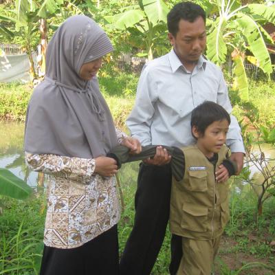 Farming Sdit Bbs 13