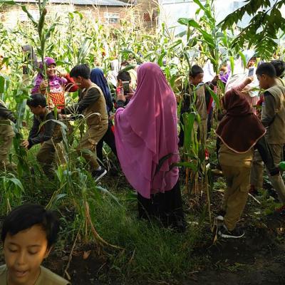 Farming Sdit Bbs 15