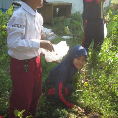 Farming Sdit Bbs 18