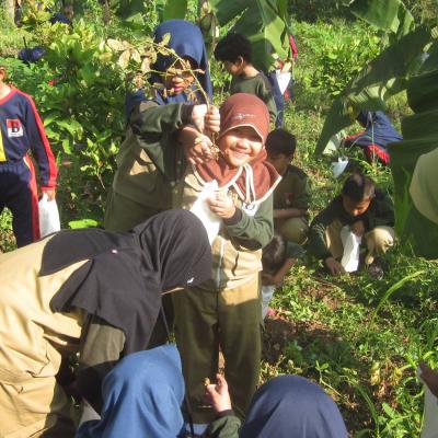 Farming Sdit Bbs 1