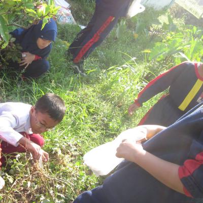 Farming Sdit Bbs 2