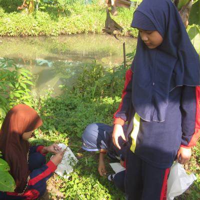 Farming Sdit Bbs 3