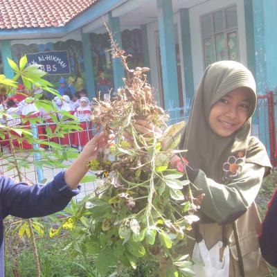 Farming Sdit Bbs 5