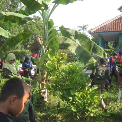 Farming Sdit Bbs 9