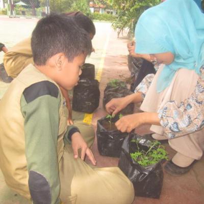 Pertanian 11
