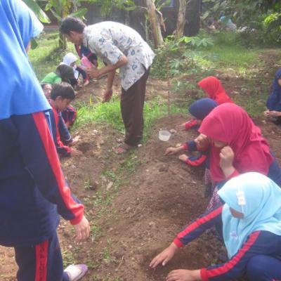 Pertanian 14