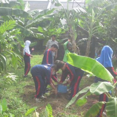 Pertanian 17
