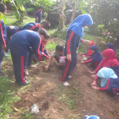 Pertanian 25