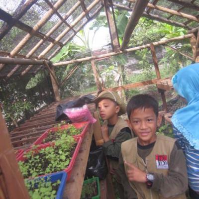Pertanian 26