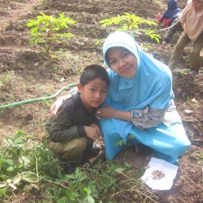 Pertanian 27