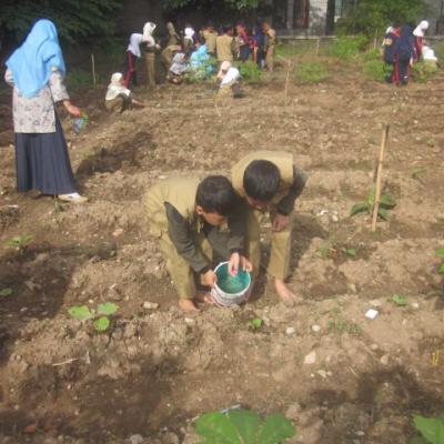 Pertanian 3